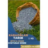Çiçek Bitki Coşturan Akıllı Gübre Çim - Çiçek Bitki Coşturan Azotlu Akıllı Gübre Kaktüse Uygun 1 Kg