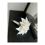 Çiçek Calla Lilyum, Taşlı İsteme Çiçeği, Gelin Buketi