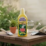 Çiçek Coşturan Yaprak Sararmasına Karşı Özel Bitki Besini 600 ml (500+100 ml Hediyeli)