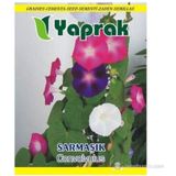 Çiçek Tohumu Sarmaşık