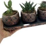 Çiçek Trio Bronz Dekoratif Saksı
