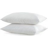 Çiçekce Home Yastık Boncuk Silikon 60X80CM 2 Adet 910GR. - 60 x 80 cm - Beyaz