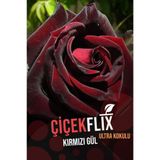 Çiçekflix Kırmızı Siyah Gül Fidani 1 Adet Açık Kök