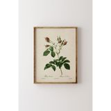 Çiçekler - Ahşap Desenli Çerçeve, Ceviz, 50 x 70, 3646362355888