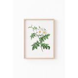 Çiçekler - Ahşap Desenli Çerçeve, Naturel, 50 x 70, 3646362356118