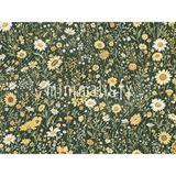 Çiçeklerin Dansı: 200X150CM Arka Plan, Stüdyo Fonu