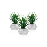Çiçekmisin 3 Adet Mermer Görünümlü Saksıda Yeşil Yapay Kaktüs Aloevera
