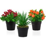 Çiçekmisin 3’lü Set Siyah Mini Plastik Saksıda Yapay Kokina, Aloe Vera ve Mandalina Çiçeği - Turuncu