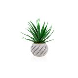 Çiçekmisin Kıvrımlı Beton Saksıda Yeşil Yapay Kaktüs Aloevera