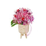 çiçekseli Art Kuru Çiçek Cipso Tasarımı & Dekoratif Çiçek Yapay Cicek Saksida Ev Dekorasyonu & 35-40 Cm