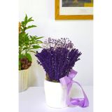çiçekseli Beyaz Saksıda Mor Lavanta Ve Cipso & Hediye Dekoratif Çiçek & 20-22 Cm