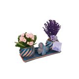 çiçekseli Mavi Kelebek Set Saksıda Kuru Lavanta ve Kalanchoe Set & Ic Mekan Bitkileri & Hediye Canli Cicek