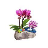çiçekseli Stone Mini Mor Orkide & Taş Beton Saksıda Orkide Çiçeği Kuğu Göl Hediye Canlı Bitki Tasarımı