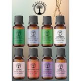 Çiçeksi Set 8*10 ml Esansiyel Uçucu Koku Yağı Aromaterapi Yağı Buhurdanlık Yağı Difüzör Esansı Ortam Oda Kokusu