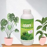 Çiçeksiz Bitkiler(STARLİÇE, AREKA PALMİYESİ, BONZAİ VB.) için Sıvı Besin,gübre(100 ml)