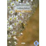 ÇİÇEKTEN SOFRAYA BALIN ÖYKÜSÜ - MUHSIN DOĞAROĞLU