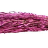 Cici Kuru Çiçek Kurutulmuş Kuşdili Pembe