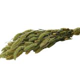 Cici Kuru Çiçek Kurutulmuş Seterya Demeti Naturel