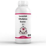 Cici Lavantalı Okaliptus Esansı 1 Lt
