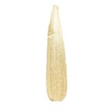 ÇİDEM'S Kese Hamam Kesesi Kabak Lifi 60 - 70 Cm Ham Kabak Lifi Işlenmemiş Lif Kabak 210794t01