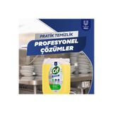 Cif 5 lt Elde Yıkama Professional Bulaşık Deterjanı