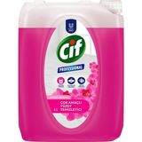 Cif 5 lt Professional Yüzey Temizleyici