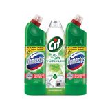 Cif Bahar Ferahlığı Granit Sıvı Yüzey Temizleyici 750 ml & Domestos Dağ Esintisi 2x810 ml Çamaşır Suyu