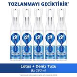 Cif Infinite Clean Doğal Probiyotikli Anti Toz Sprey Tüm Yüzeyler Için Lotus & Deniz Tuzu 280ML X5 - 280 ml