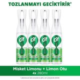 Cif Infinite Clean Doğal Probiyotikli Anti Toz Yedek Şişe Için Misket Limonu & Limon Otu 280 ml X4