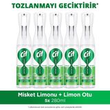 Cif Infinite Clean Doğal Probiyotikli Anti Toz Yedek Şişe Için Misket Limonu & Limon Otu 280 ml X5