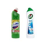Cif Krem Amonyaklı 750 ml + Domestos Ultra Yoğun Çamaşır Suyu Dağ Esintisi 810 gr