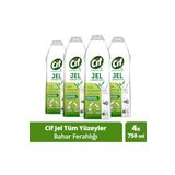 Cif Tüm Yüzeyler Için Jel Yüzey Temizleyici Leke Çıkarıcı, Yağ Çözücü Bahar Ferahlığı 750 Mlx4