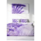 Çift Kişilik Lastikli Çarşaflı Pamuk Saten Lavander Nevresim Takımı - Foster - 220 x 220 cm