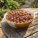 Çift Renkli Plastik Rattan Sepet - Çok Amaçlı Organizer