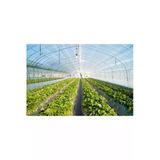 Çiftçi Plasmar 12X25 36 Aylık Sera Naylonu 350 Mikron Branda Örtüsü Uv - Eva-Ab Katkı Xömbx4