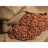 Çiğ Fıstık İçi 1 KG