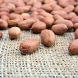 Çiğ Fıstık Içi 1000 gr - 1 kg