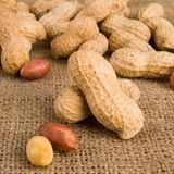 Çiğ Kabuklu Fıstık 250GR - 250 gr