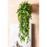 Cihan Çiçekçilik Yapay Okaliptus Sarmaşık 70 Cm