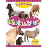 Çıkartmalı Midilliler Kolektif