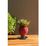 Çilek Mini Sukulent Saksısı - 7cm - Bioplastik -Alvina Atölye