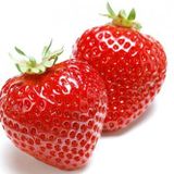 Çilek Tohumu İthal Çilek Tohumu 10 Tohum + Saksı+Toprak+ To
