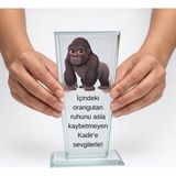 Çılgıntrend Arkadaşa Esprili Kristal Cam Plaket - Komik Ofis ve Doğum Günü Hediyesi - Gümüş - standart - kişiye özel