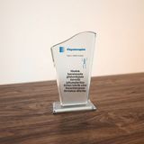 Çılgıntrend Fizyoterapiste Hediye Kristal Cam Plaket – Fizyoterapistler Günü Masaüstü Tebrik Ödülü - Renkli - 21 x 13