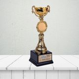 Çılgıntrend Kişiye Özel Matematik Öğretmeni Legend Ödül Kupası – İsme Özel Öğretmen Başarı Plaketi 34 cm