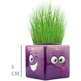 Çim Adam Mini Küp Emoji Figürlü 1 Adet - Çok Renkli