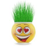Çim Adam Orijinal 1 Adet Lisanslı Eğlenceli Sevimli Ürün Emojili Çimoji Oyuncaklar