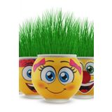 Çim Adam Orijinal 2 Adet Lisanslı Eğlenceli Sevimli Ürün Emojili Çimoji Oyuncaklar