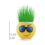 Çim Adam Saksı Emoji Figürlü 1 Adet Çok Renkli