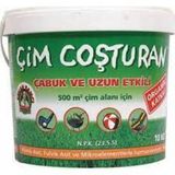 Çim Coşturan 10 kg Granüllü Çim Gübresi